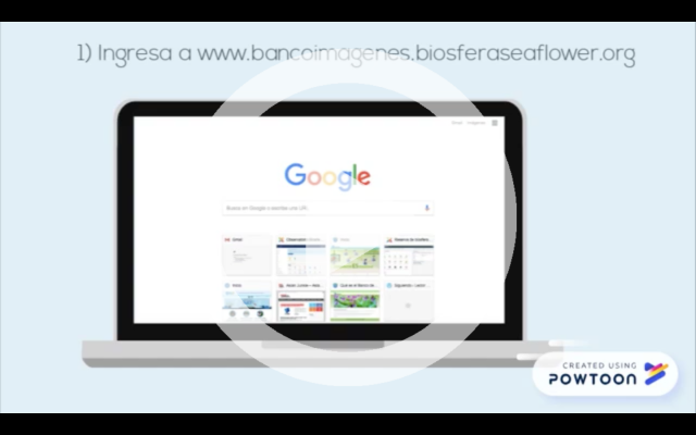 descargar banco de imagenes